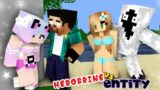 MONSTER SCHOOL : HEROBRINE VS ENTITY LIFE EPISODE – FUNNY MINECRAFT ANIMATION