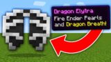 Minecraft, But There Are Custom Elytra…