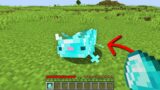 Minecraft, But You Can Breed Axolotls From Any Item…