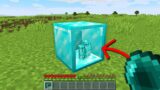 Minecraft, But You Can Go Inside Any Block…