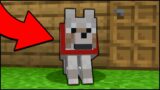 Minecraft: How to make a working Guard Dog! [easy]