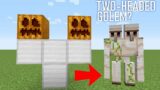 TWO-HEADED GOLEM in Minecraft?