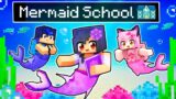 The SECRET MERMAID School in Minecraft!