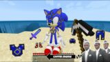 What if you Break Sonic in Minecraft – Coffin Meme