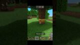 How to make HONEY FARM in Minecraft 1.16