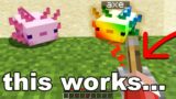 I Busted POPULAR Minecraft 1.17 Hacks And These Worked…