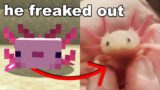 I Gave my Little Brother a Minecraft Axolotl in Real Life