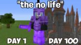 Minecraft 100 Days Stereotypes…
