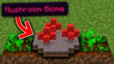 Minecraft, But You Can Grow Biomes…