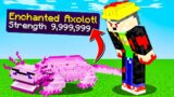 Minecraft but you can enchant axolotls