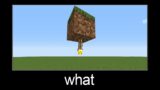 Minecraft wait what meme part 89 (inverted torch)