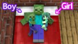 Monster School : Baby Zombie Girl and Baby Zombie Boy Sad Story – Minecraft Animation