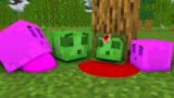 Monster School : Red Slime & Green Slime Very Sad Story  – Minecraft Animation
