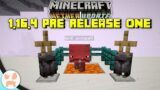 NEW MUTLIPLAYER UI! | Minecraft 1.16.4 Pre Release 1