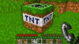NOOB DIRT TNT EXPLOSION CHALLENGE! Minecraft NOOB vs PRO! 100% TROLLING MINE BOMB BIG TRAP BOOM NUKE