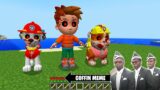 This is PAW PATROL.EXE in Minecraft – Coffin Meme