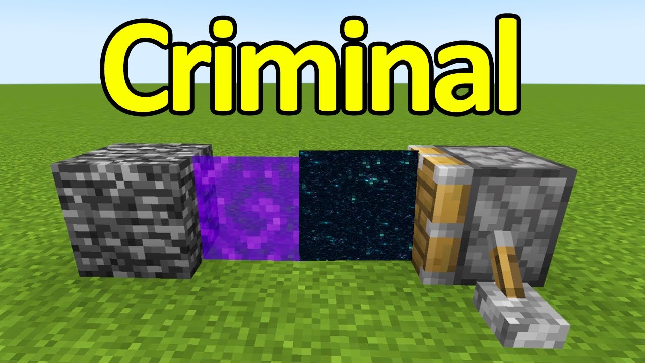 Types of People Portrayed by Minecraft 20 Minecraft videos