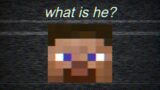 What Is Minecraft Steve?