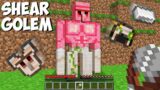 What if you SHEAR A IRON GOLEM in Minecraft ? IRON GOLEM ITEMS !