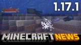 What's New in Minecraft Java Edition 1.17.1?