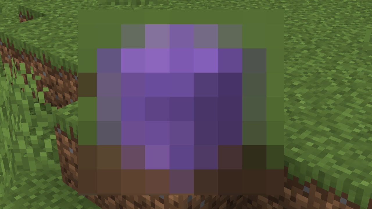 The Hardest Block To Get In Minecraft 1 17 Minecraft Videos The Hardest Block To Get In Minecraft 1 17 Minecraft Videos