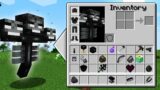 BOSS WITHER Inventory Shop! MINECRAFT INVENTORY CHALLENGE! Animation