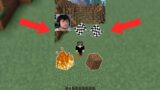 Fire Or Dirt Which is Faster In Minecraft #shorts