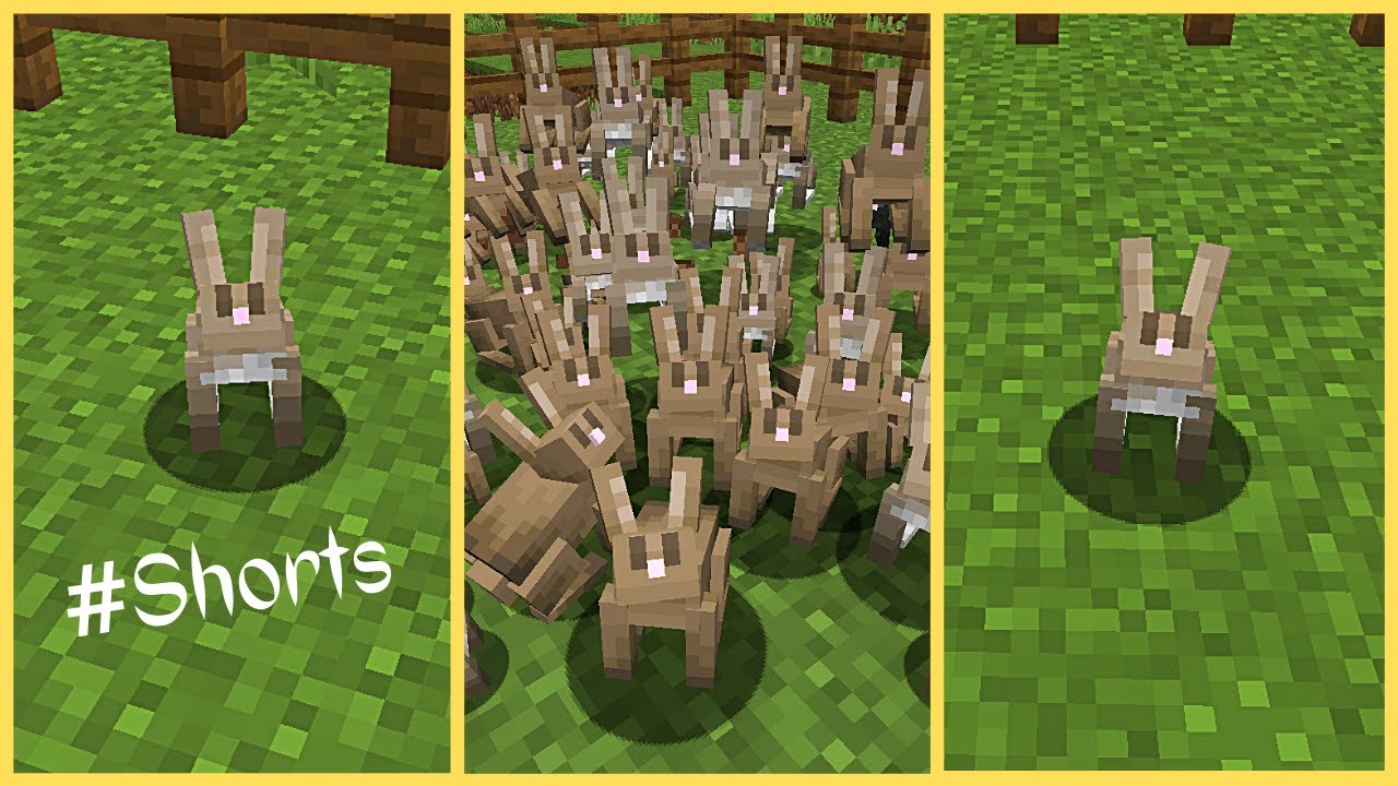 How to Breed Rabbits in Minecraft Shorts Minecraft videos