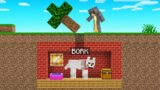 I Built BORK A SECRET BASE In Jelly's Server! (Minecraft)