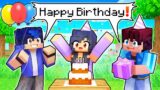 It's Aphmau's BIRTHDAY In Minecraft!