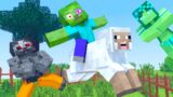 Minecraft life | How to train your sheep | Zombo and Zomma | Minecraft animation