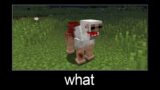 Minecraft wait what meme part 107 (zombie sheep)