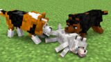 Monster School : R.I.P DOG – Sad Ending – Minecraft Animation