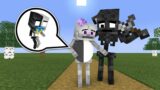 Monster School : WITHER & SKELETON GIRL BABY STORY – Minecraft Animation