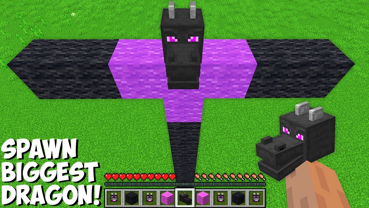 This is a SUPER SECRET WAY TO SPAWN BIGGEST DRAGON in Minecraft ! TITAN