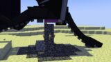 the minecraft race where the ender dragon actually gets to sleep