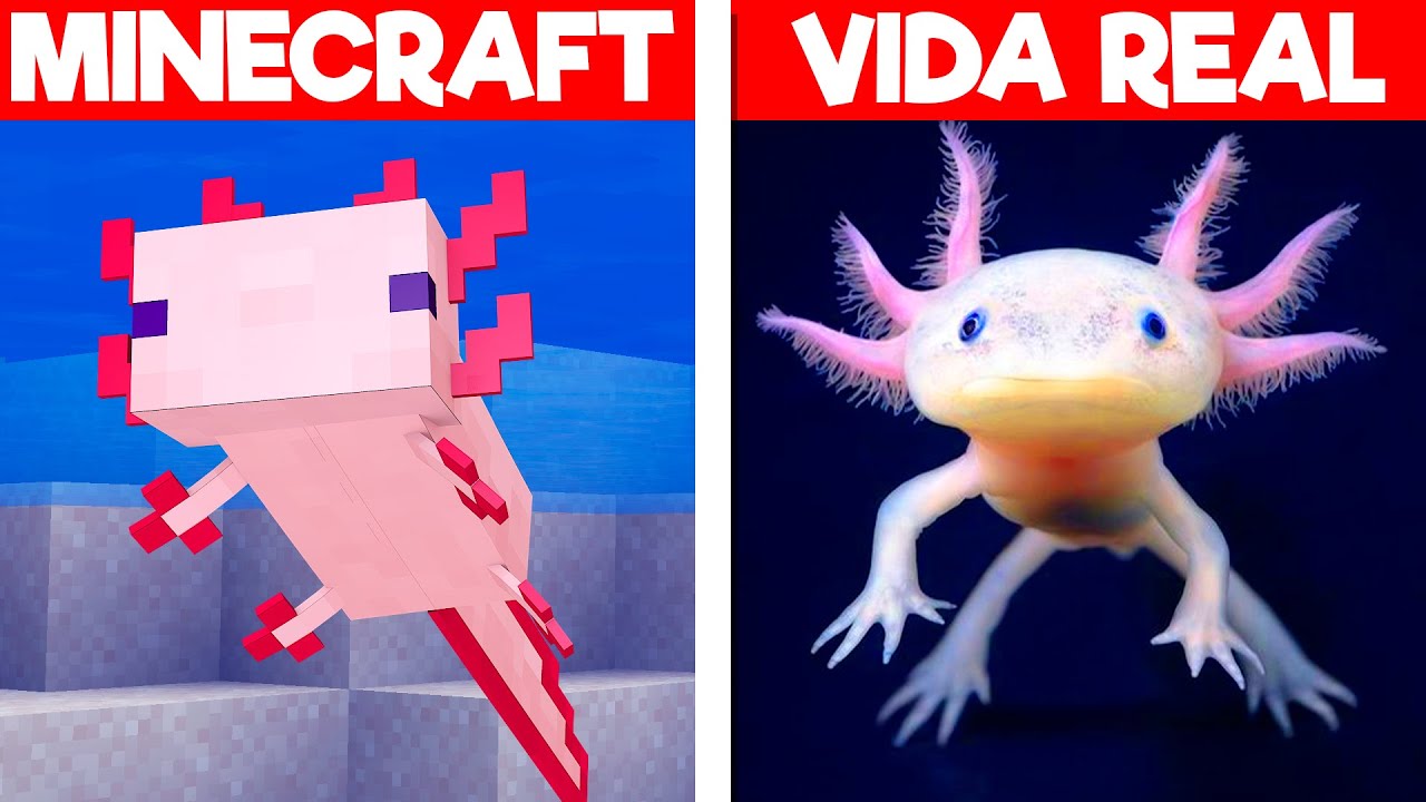 Minecraft Vs Vida Real Minecraft Videos Minecraft Vs Vida Real Minecraft Videos
