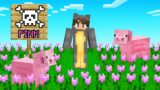 Minecraft But if you Touch Pink you DIE!
