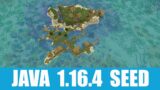 Minecraft Java 1.16.4 Seed: Spawn on an island village with ruined portal surrounded by coral reef