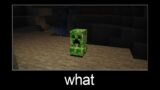 Minecraft wait what meme part 113 (parrot in glass)