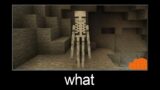 Minecraft wait what meme part 121 (enderman skeleton)