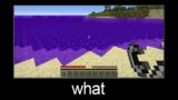 Minecraft wait what meme part 122 (portal sea)