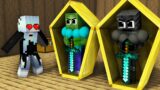 Monster School : Good Brother Wither Skeleton and Baby Sister – Sad Story – Minecraft Animation