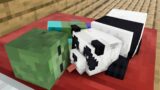Monster School : PANDA AND BABY ZOMBIE LIFE – Minecraft Animation
