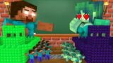 Monster School : SEASON 13 ALL EPISODE – Minecraft Animation