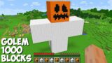 What if you SPAWN A GOLEM OF 1000 BLOCKS in Minecraft ? INCREDIBLY HUGE IRON GOLEM !