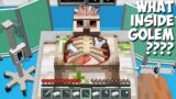 What's INSIDE THE IRON GOLEM in Minecraft ! GOLEM IN THE HOSPITAL !