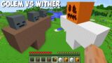 You can SPAWN GOLEM vs WITHER OF 1000 BLOCKS in Minecraft ? INCREDIBLY HUGE MOBS !
