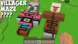 MAZE INSIDE VILLAGER VS MAZE INSIDE PILLAGER in Minecraft ! WHICH MAZE IS BETTER ?
