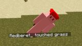 Minecraft, But You Can't Touch Grass…